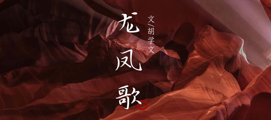 胡學(xué)文：龍鳳歌（選讀）